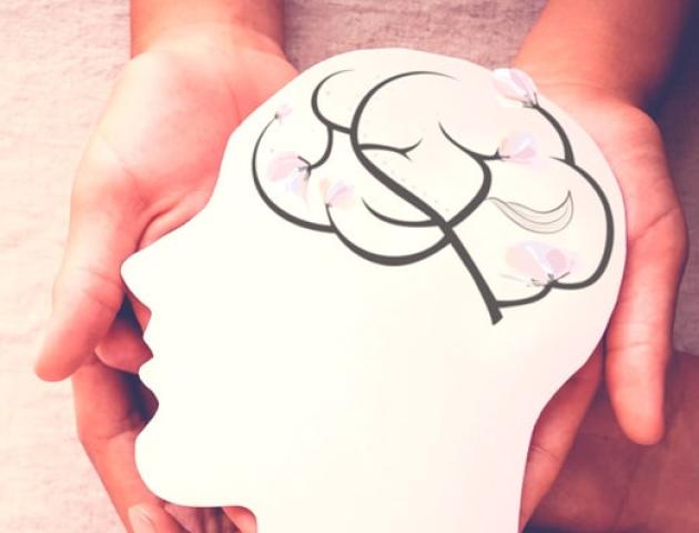 Cerebro Alexandra Carol Psicologa