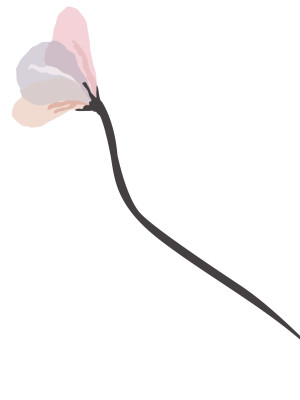 Servicios Alexandra Carol Psicologa